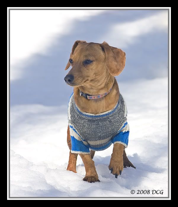 IMAGE: http://i50.photobucket.com/albums/f302/amtphoto/2008/Cupcake/Cupcake-03-01acr.jpg