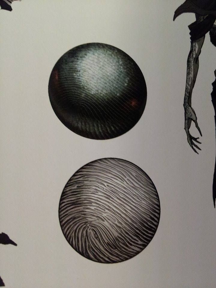 10834092_10152570462746482_472254939_n_z