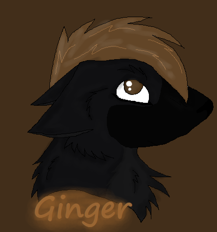 gingersketch_zps7746d4bc.png