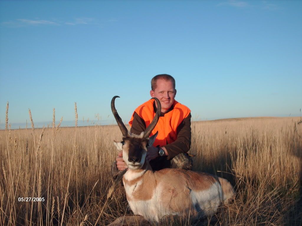 antelope6.jpg