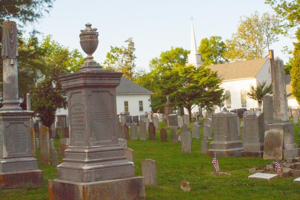  photo IMG_7228copy.jpg