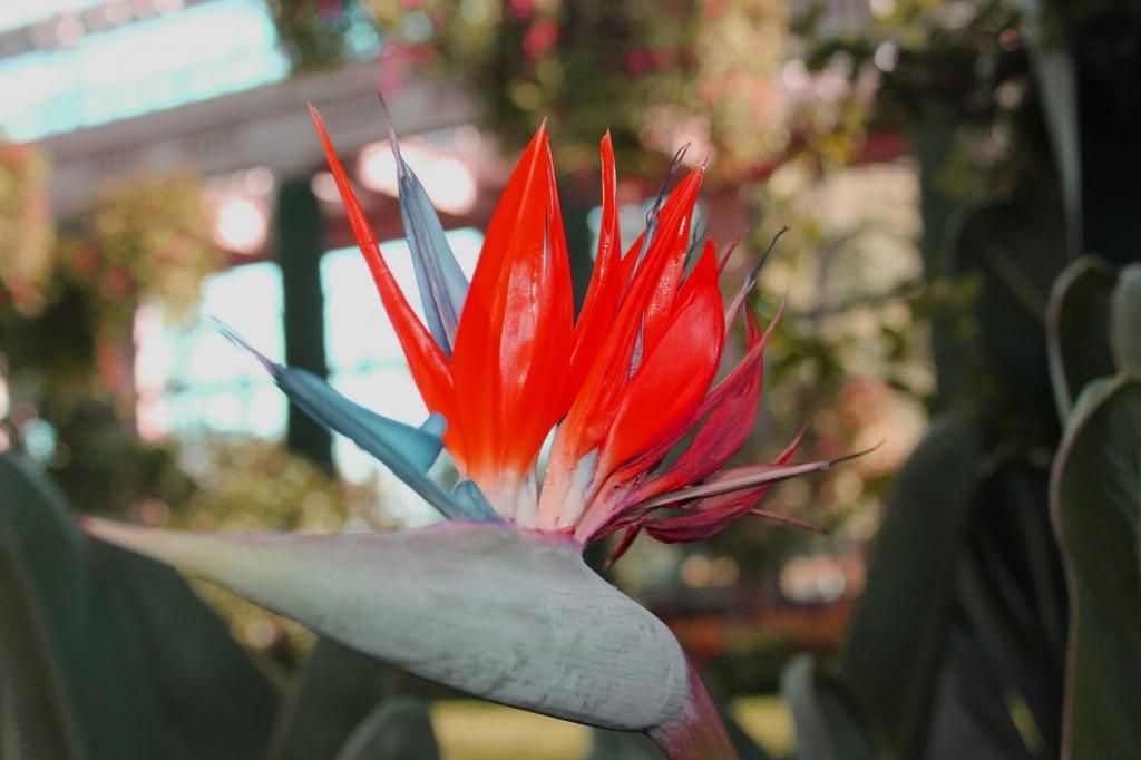  photo IMG_6412copy.jpg