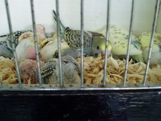 21-9-076.jpg