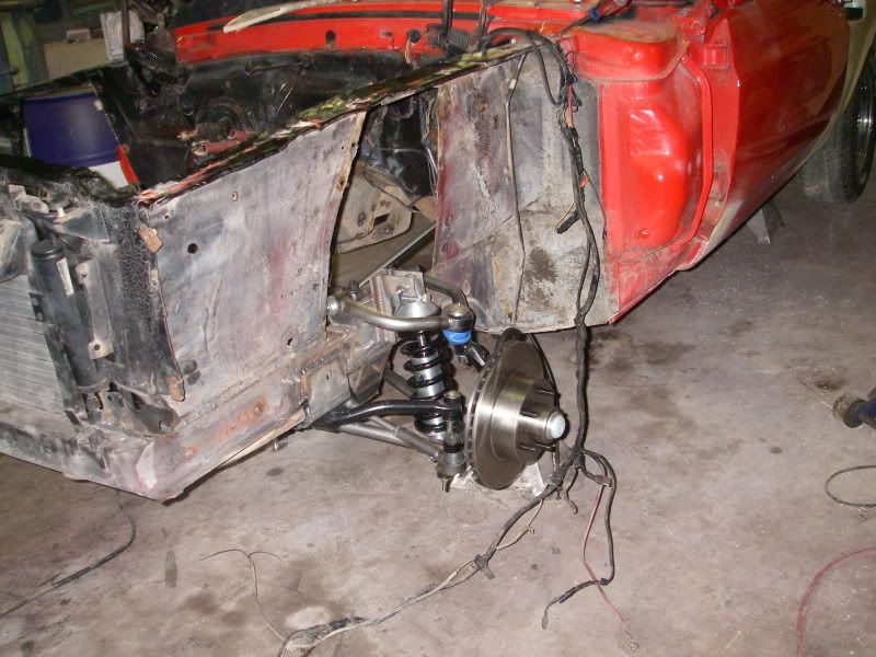 mustang005.jpg