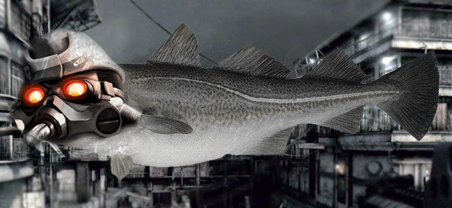 CODZONE.jpg