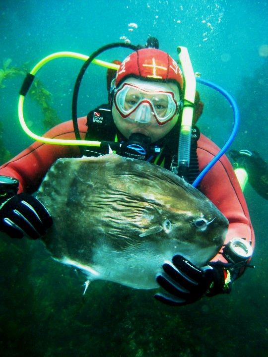 MeMolaMola.jpg