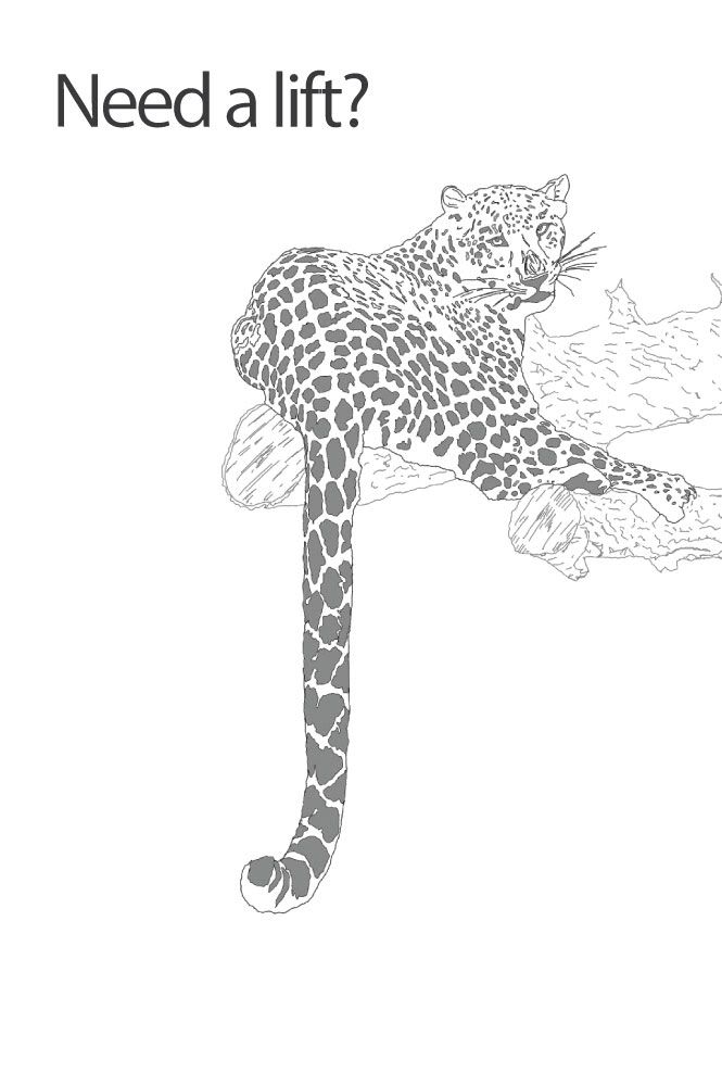 cheetah_2final.jpg cheetah_2final.jpg picture by mitch20vt