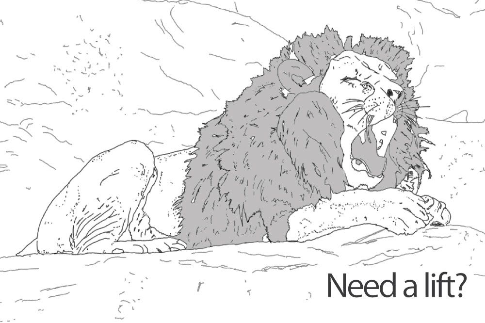 lion_2final.jpg lion_2final.jpg picture by mitch20vt