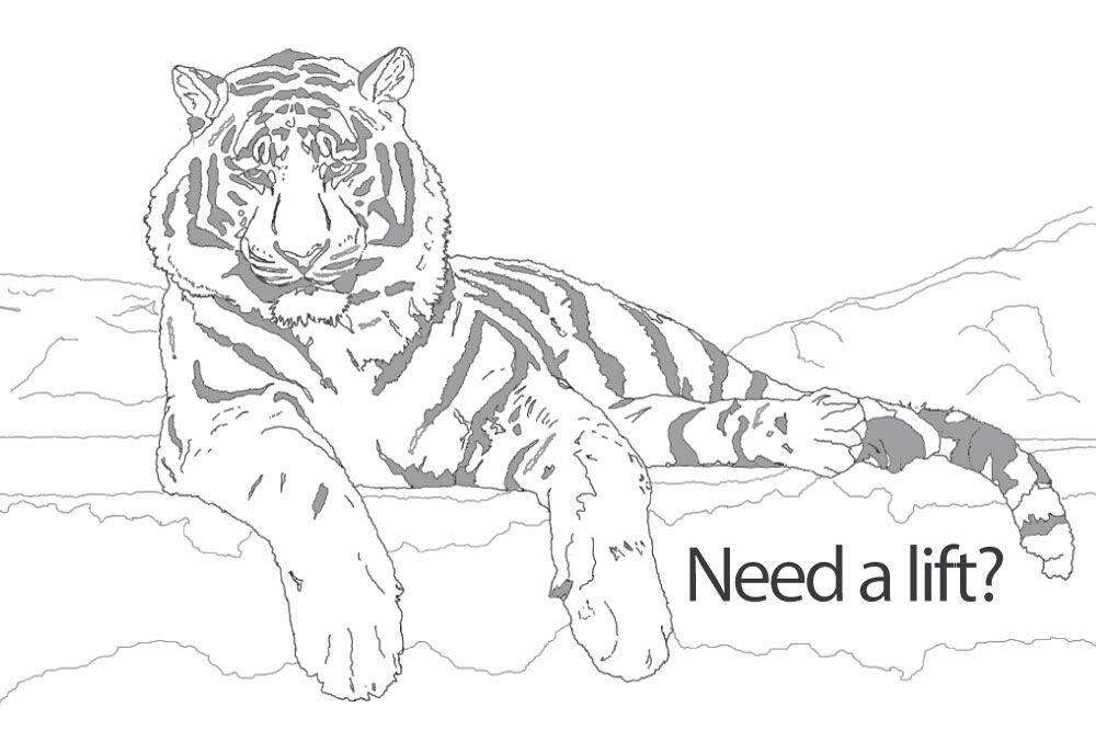 tiger_2final.jpg tiger_2final.jpg picture by mitch20vt