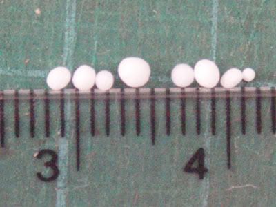 Pelletsize.jpg