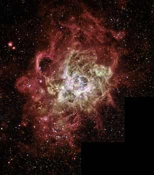 star birth Pictures, Images and Photos