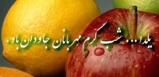 yalda-1.jpg