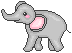 An Elephant