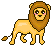 A Lion