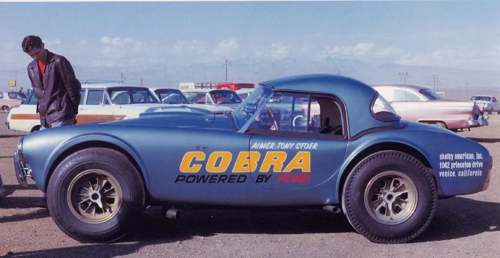 AimerTonySterDragonsnake68CobraAASP.jpg?