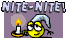 nitenite_smilie.gif