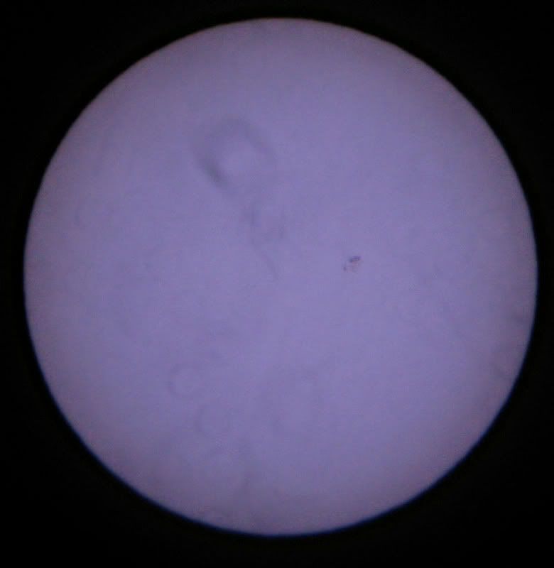 sunspots006.jpg