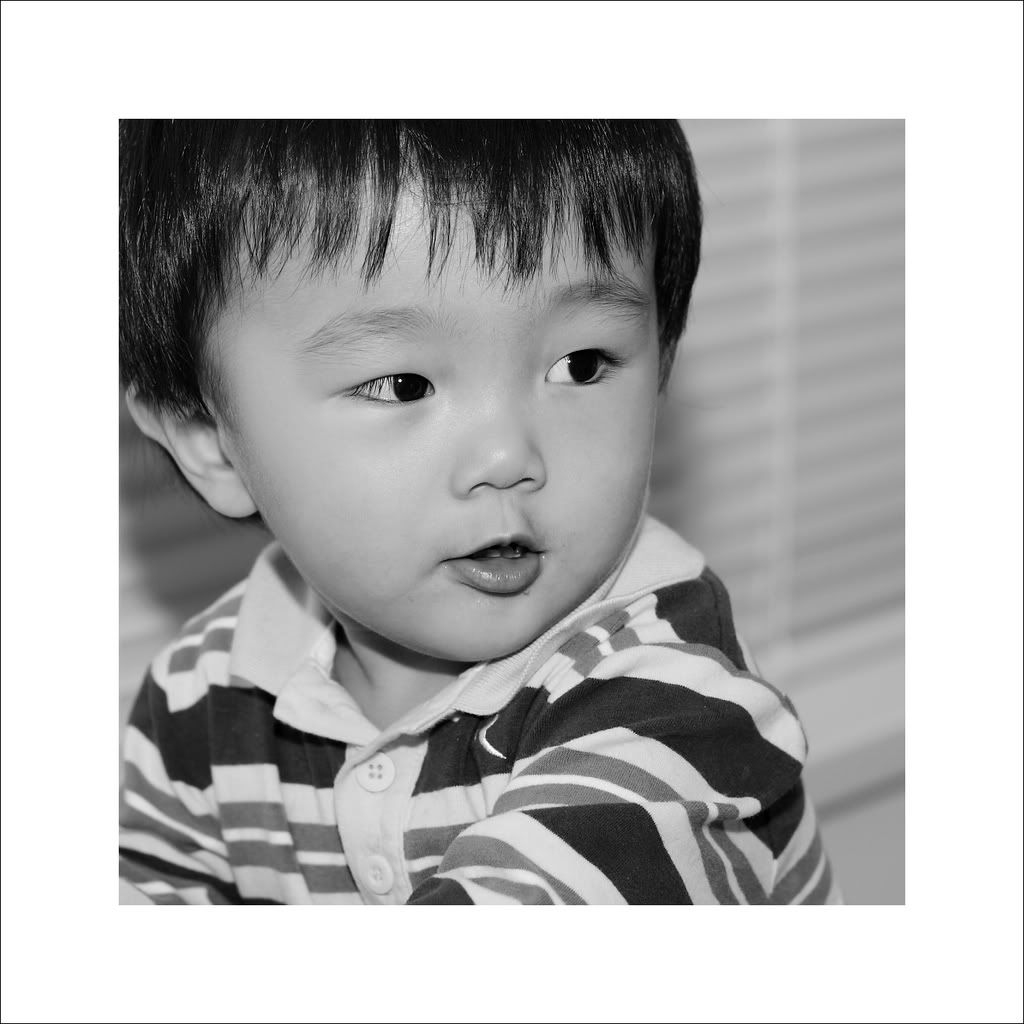 IMAGE: http://i50.photobucket.com/albums/f317/shingo43/little%20figo/IMG_2702_1.jpg