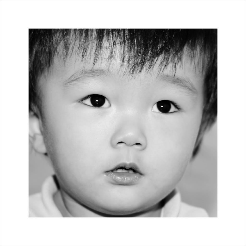 IMAGE: http://i50.photobucket.com/albums/f317/shingo43/little%20figo/IMG_2735_2.jpg