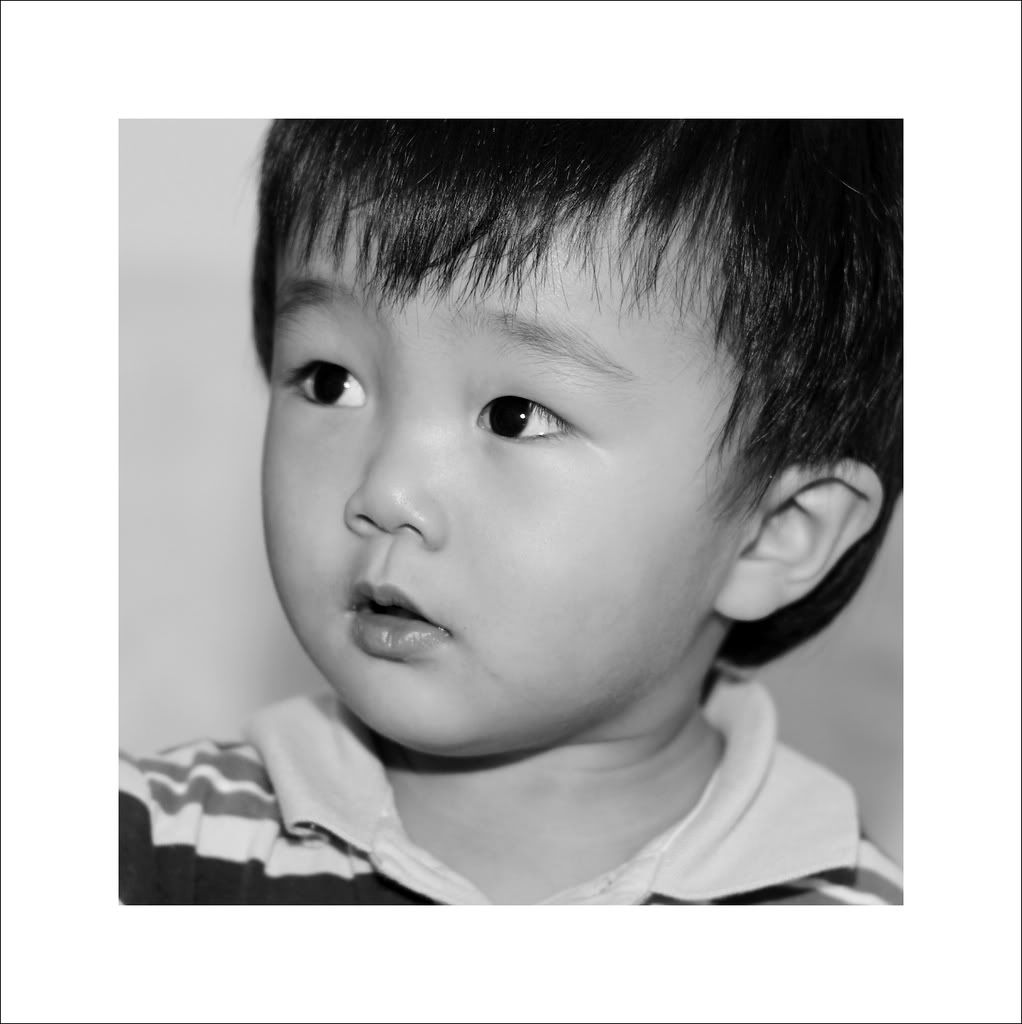 IMAGE: http://i50.photobucket.com/albums/f317/shingo43/little%20figo/IMG_2740_1.jpg