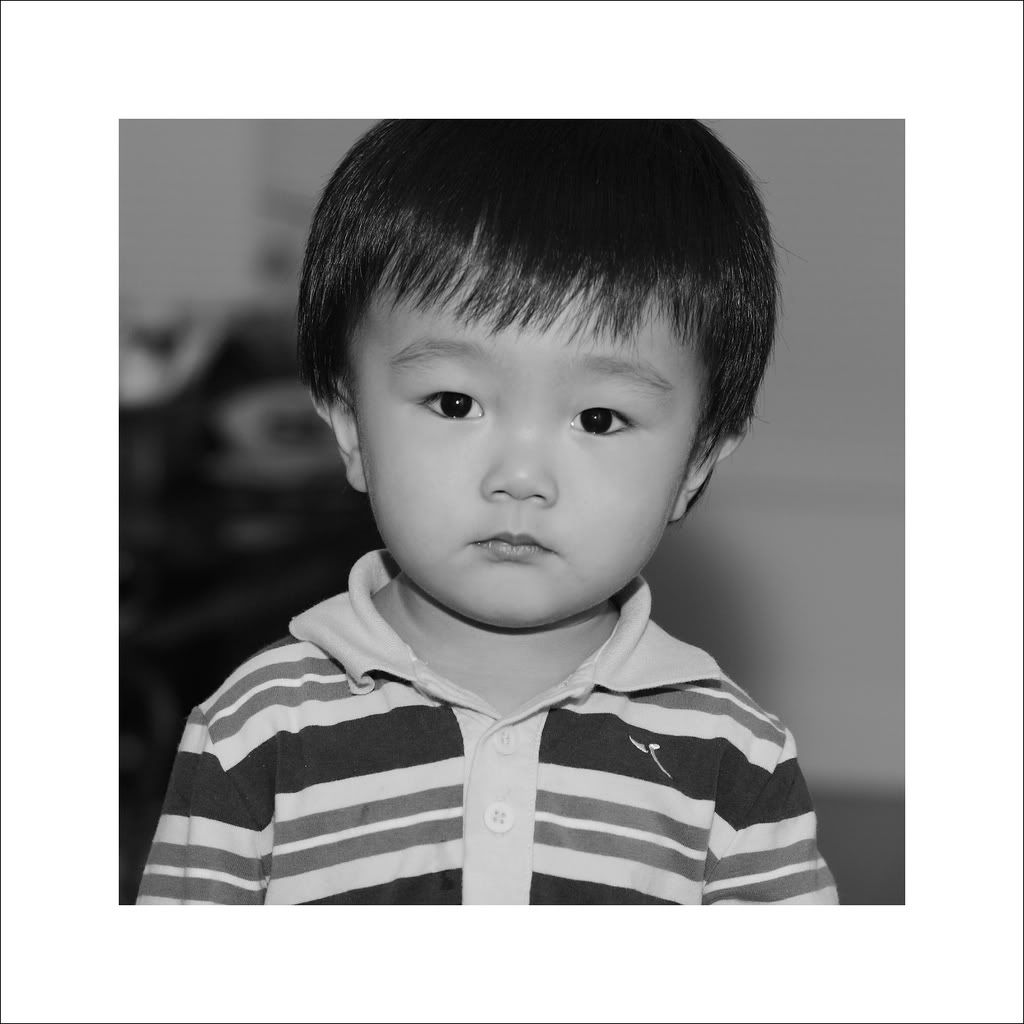 IMAGE: http://i50.photobucket.com/albums/f317/shingo43/little%20figo/IMG_2749_1.jpg