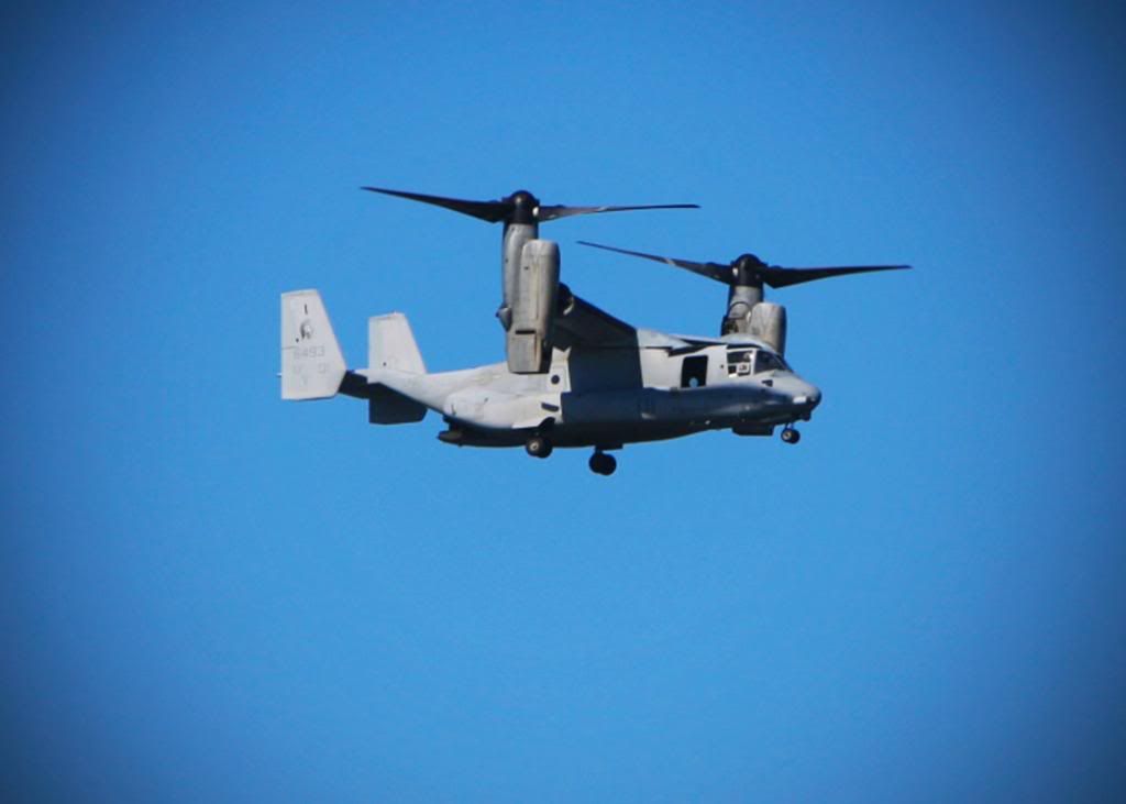 IMAGE: http://i50.photobucket.com/albums/f318/nvuphotos/IMG_3341copy.jpg