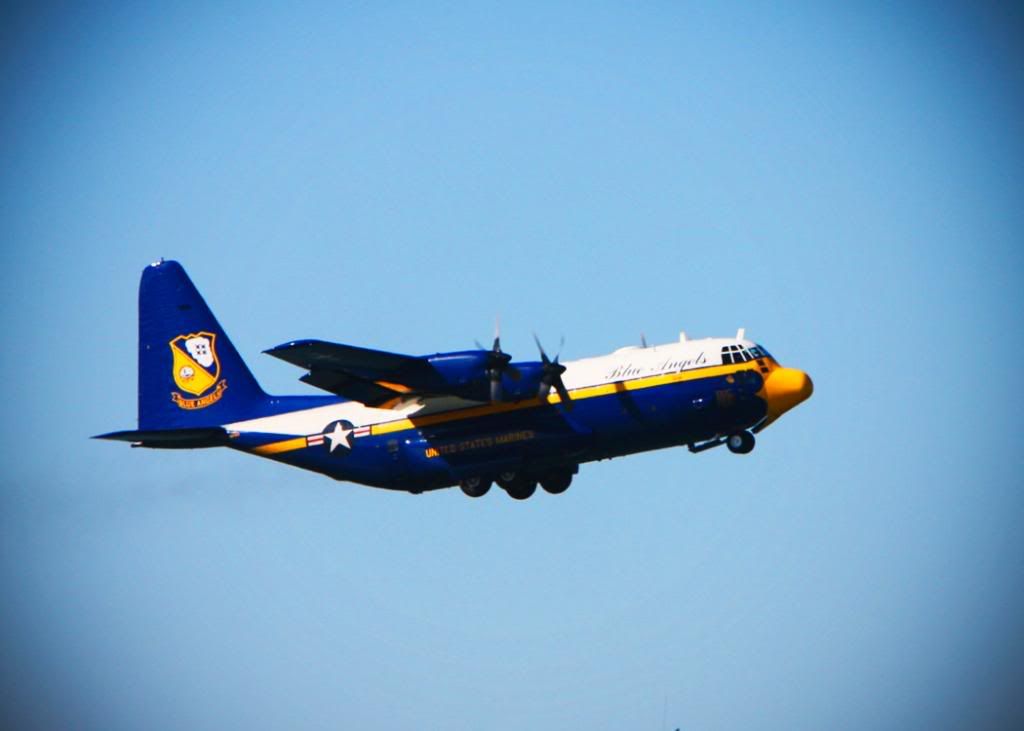 IMAGE: http://i50.photobucket.com/albums/f318/nvuphotos/IMG_4389copy.jpg