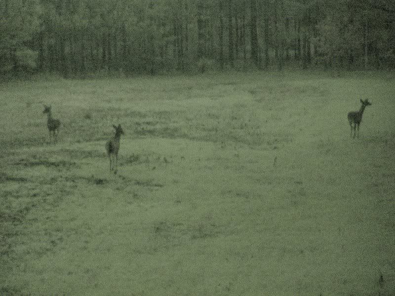 Night Vision deer hunting. Ford Power Stroke Nation