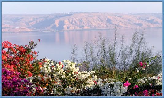 YamKinneretSeaOfGalilee.jpg