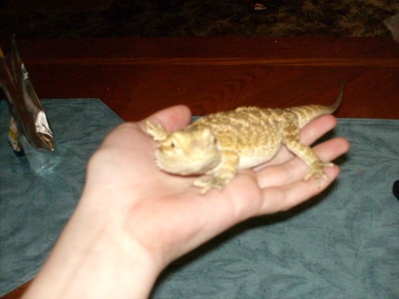 re: Post Photos of Your Pets...in Honor of Stoli!