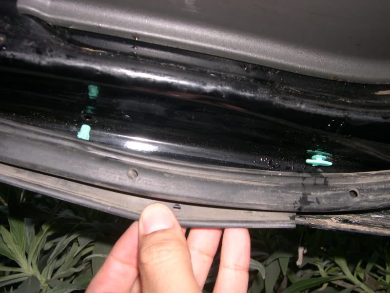 Weather Stripping Clips Second Generation Nissan Xterra Forums