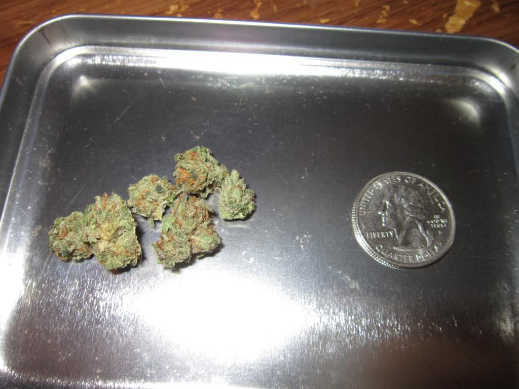 Is this worth a dub? Marijuana Forums