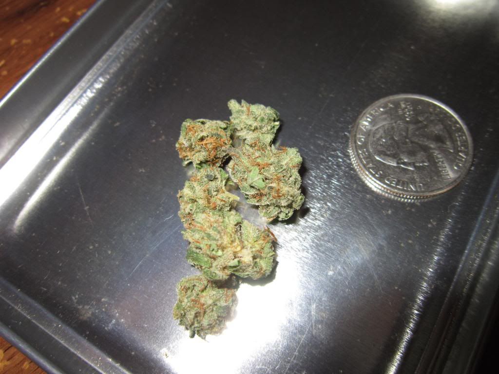 Is this worth a dub? Marijuana Forums