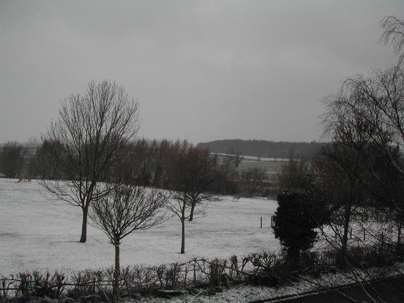 DSCN1064-1.jpg