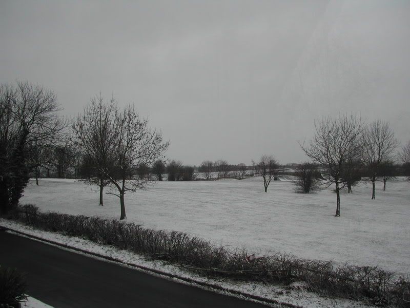 DSCN1065.jpg