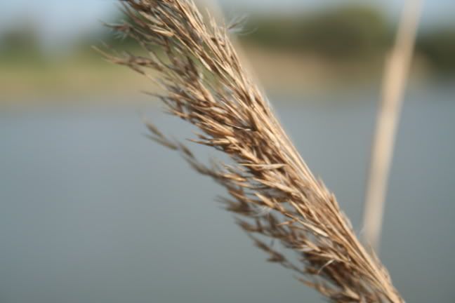 IMAGE: http://i50.photobucket.com/albums/f321/Stav13/20060429_IMG_0156.jpg