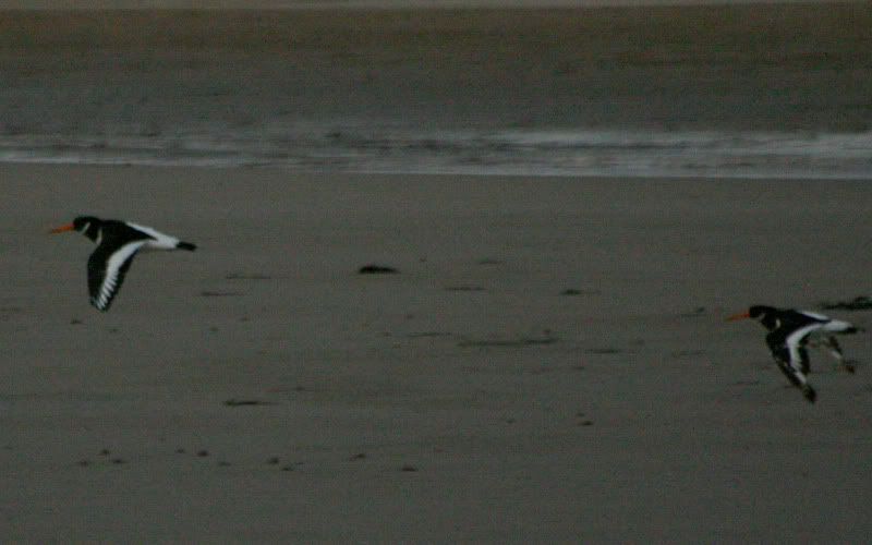 IMAGE: http://i50.photobucket.com/albums/f321/Stav13/ID2.jpg