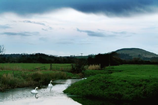 IMAGE: http://i50.photobucket.com/albums/f321/Stav13/ed.jpg