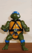 TurtleEvolution.gif image by venjix