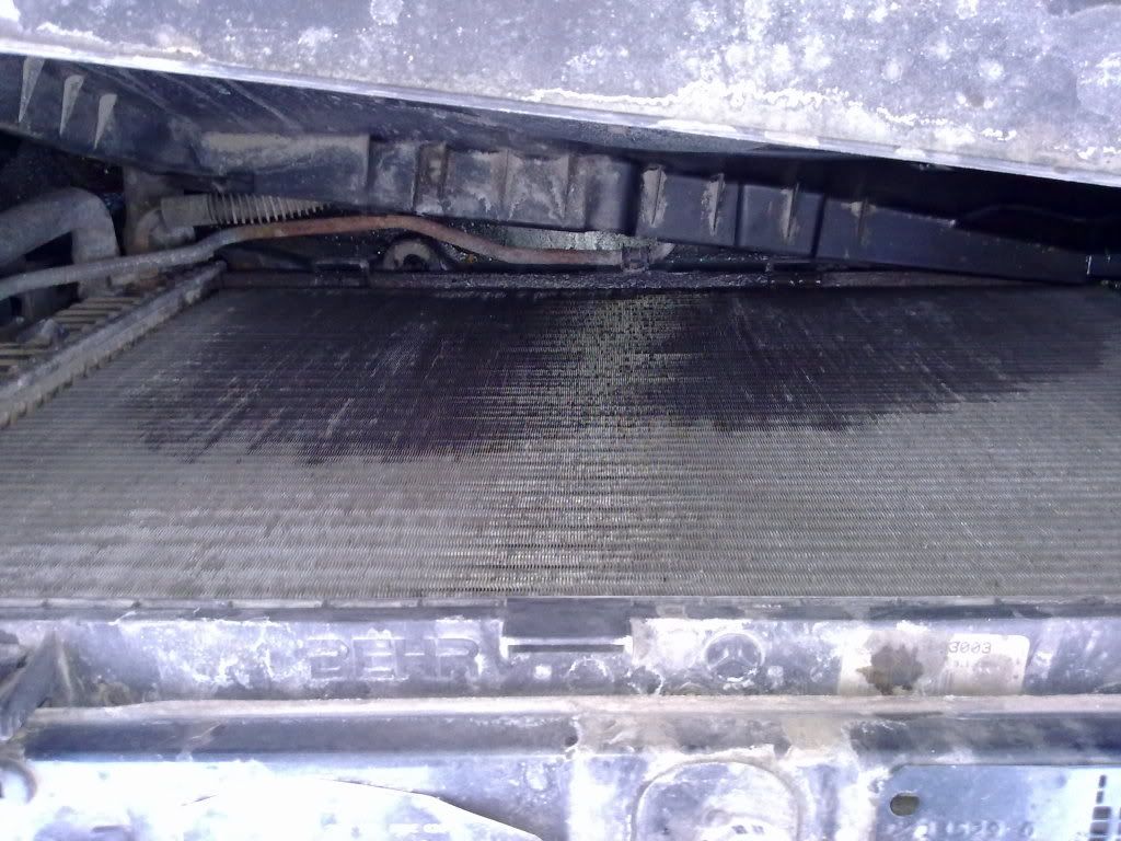 06032010121.jpg