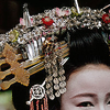 Tayuu Pictures, Images and Photos