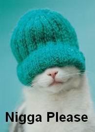 niggacat.jpg