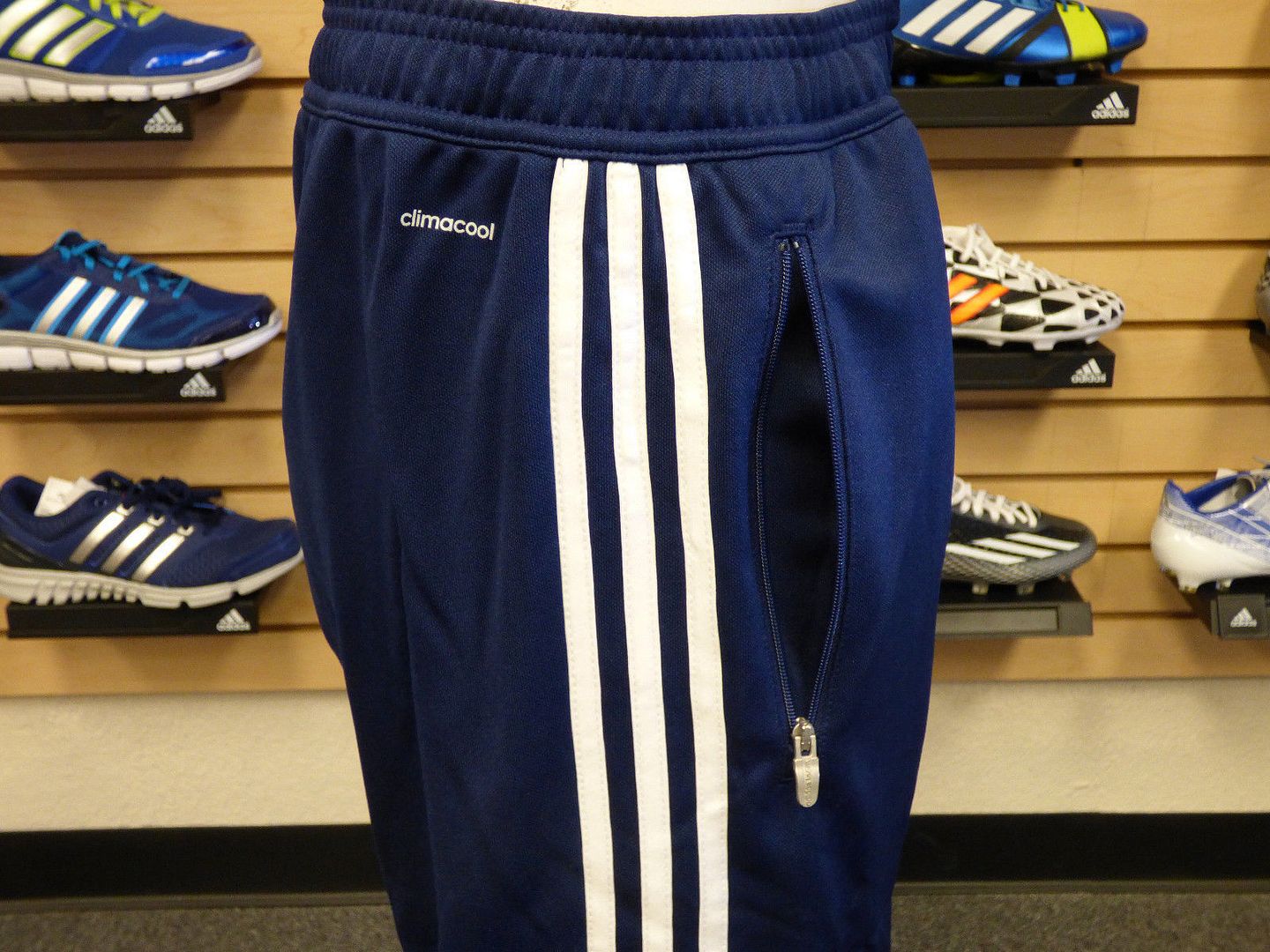 condivo training pants