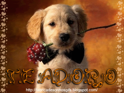 te adoro