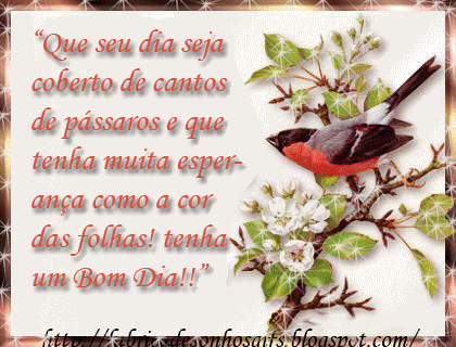 bom dia