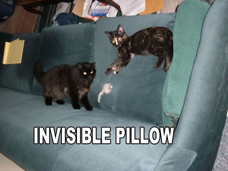 1166518423-invisiblepillow.jpg