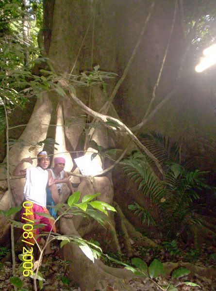 Image hosting by Photobucket