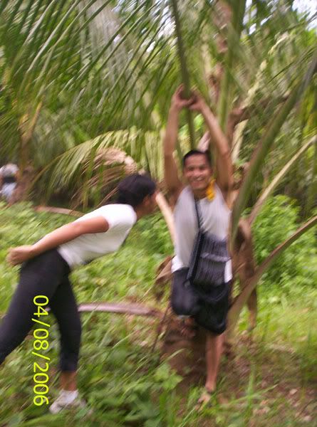 Image hosting by Photobucket