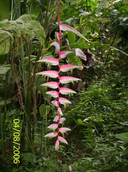 Image hosting by Photobucket