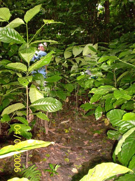 Image hosting by Photobucket